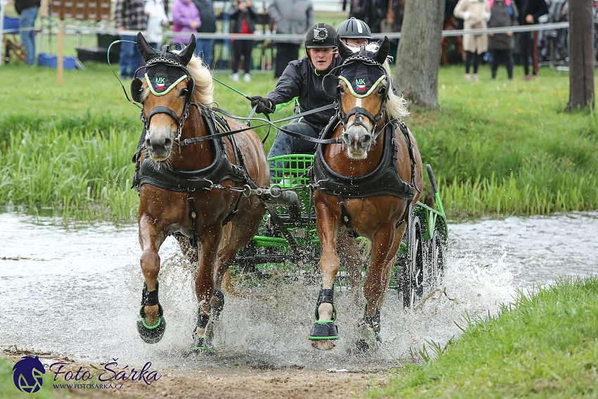 Kladruby 2019 - sobota - maraton