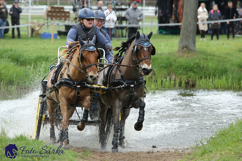 Kladruby 2019 - sobota - maraton