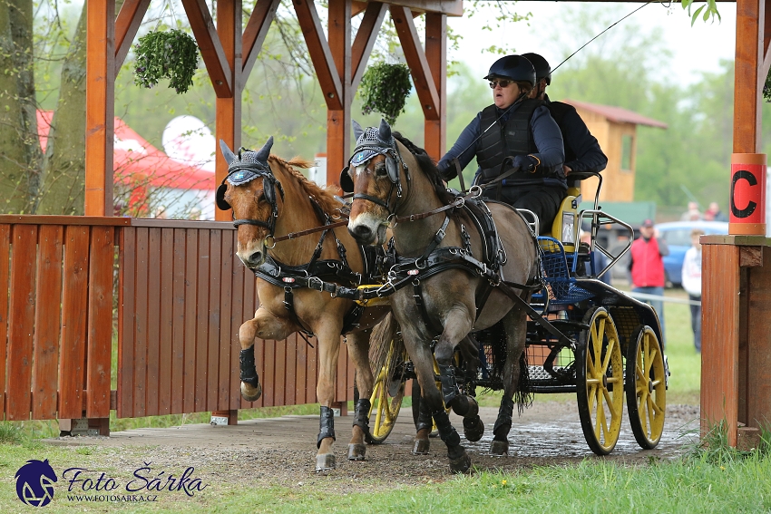 Kladruby 2019 - sobota - maraton