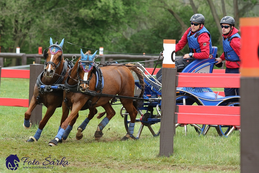 Kladruby 2019 - sobota - maraton