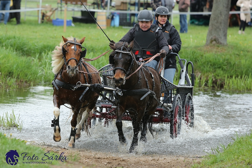 Kladruby 2019 - sobota - maraton