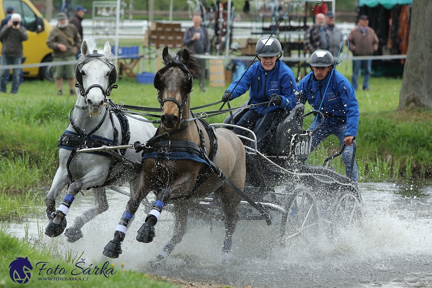 Kladruby 2019 - sobota - maraton