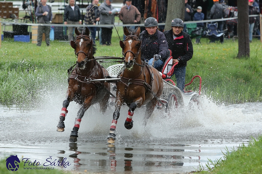 Kladruby 2019 - sobota - maraton