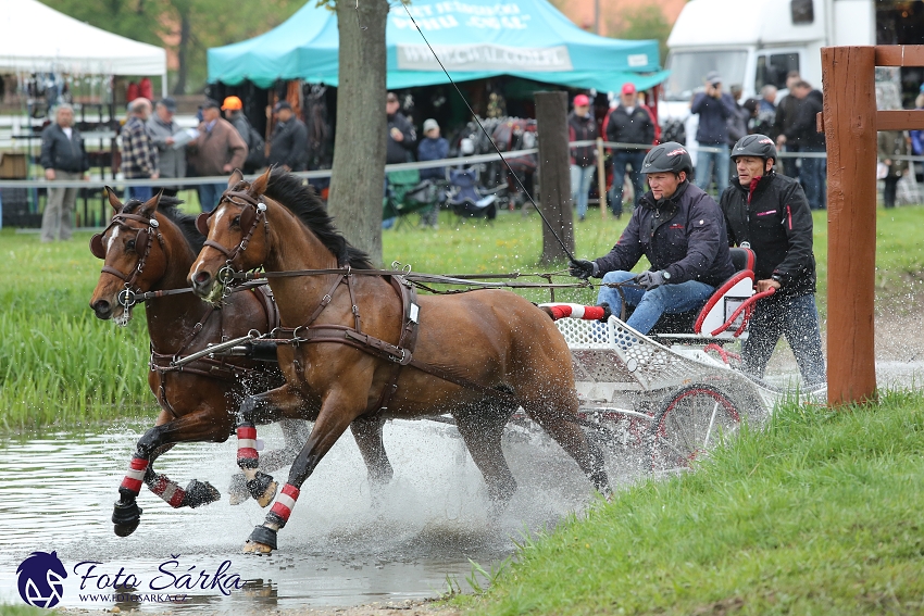 Kladruby 2019 - sobota - maraton