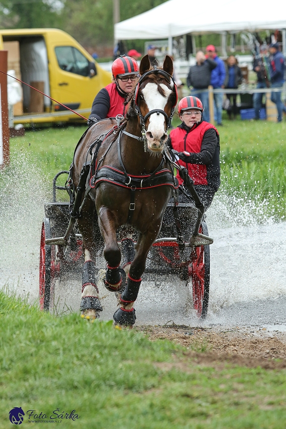 Kladruby 2019 - sobota - maraton