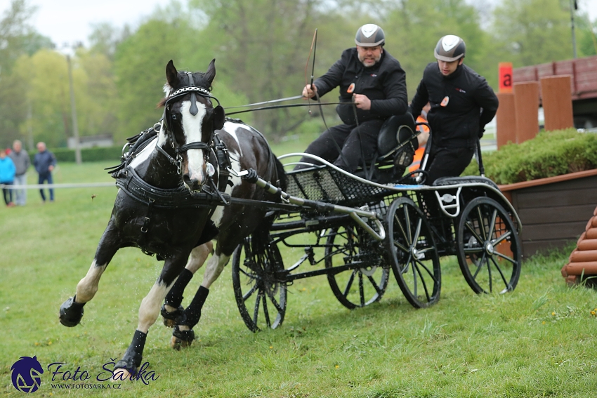 Kladruby 2019 - sobota - maraton