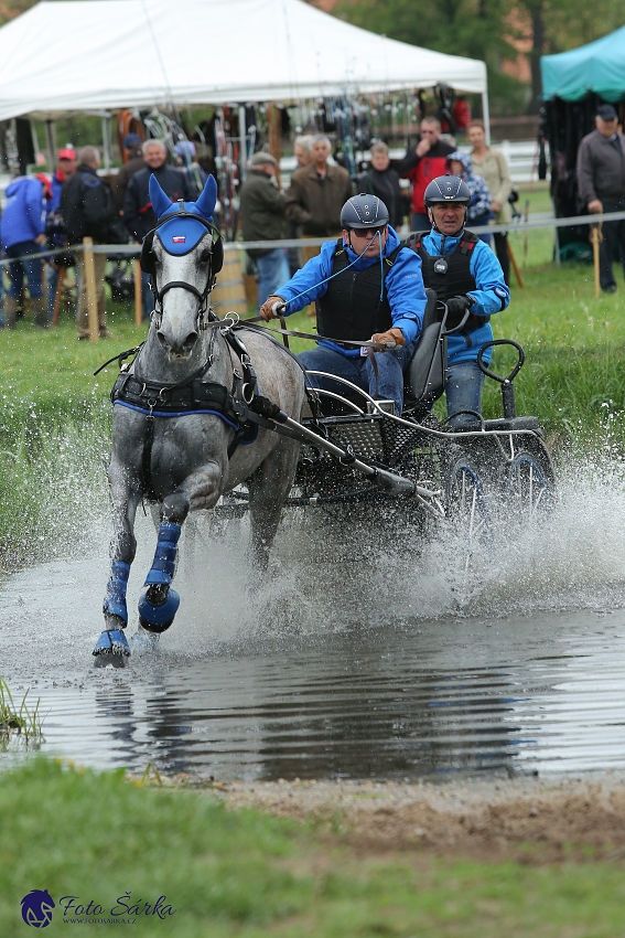 Kladruby 2019 - sobota - maraton