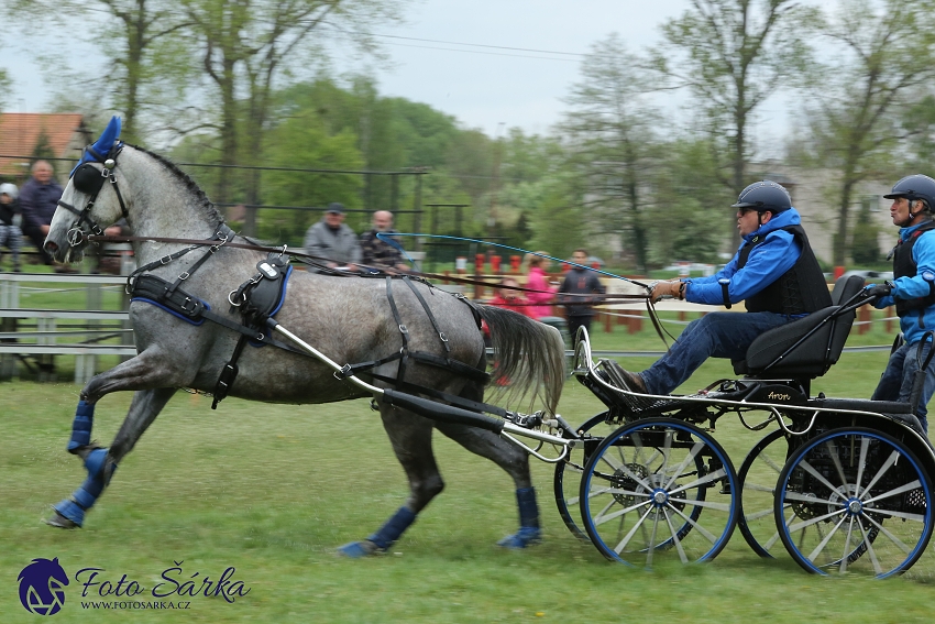 Kladruby 2019 - sobota - maraton