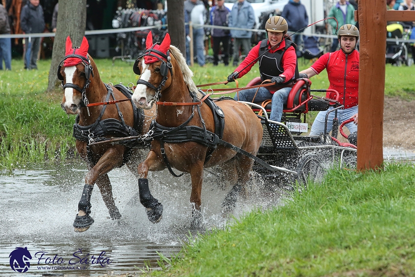 Kladruby 2019 - sobota - maraton