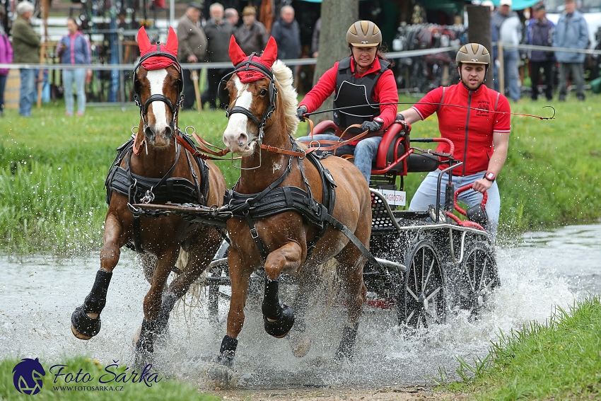 Kladruby 2019 - sobota - maraton