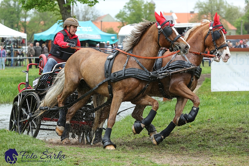 Kladruby 2019 - sobota - maraton