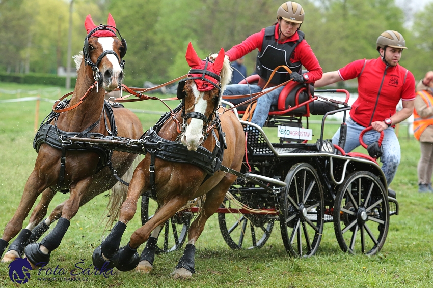 Kladruby 2019 - sobota - maraton