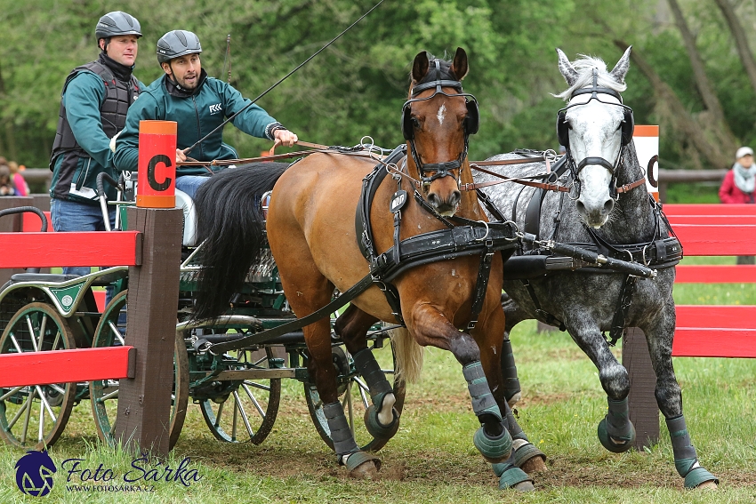 Kladruby 2019 - sobota - maraton