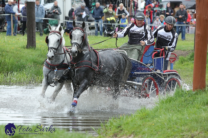 Kladruby 2019 - sobota - maraton