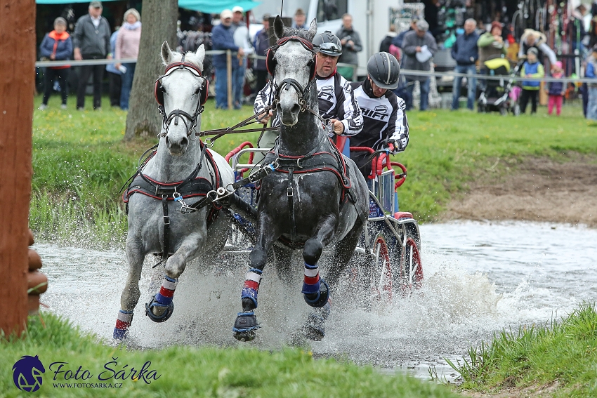 Kladruby 2019 - sobota - maraton