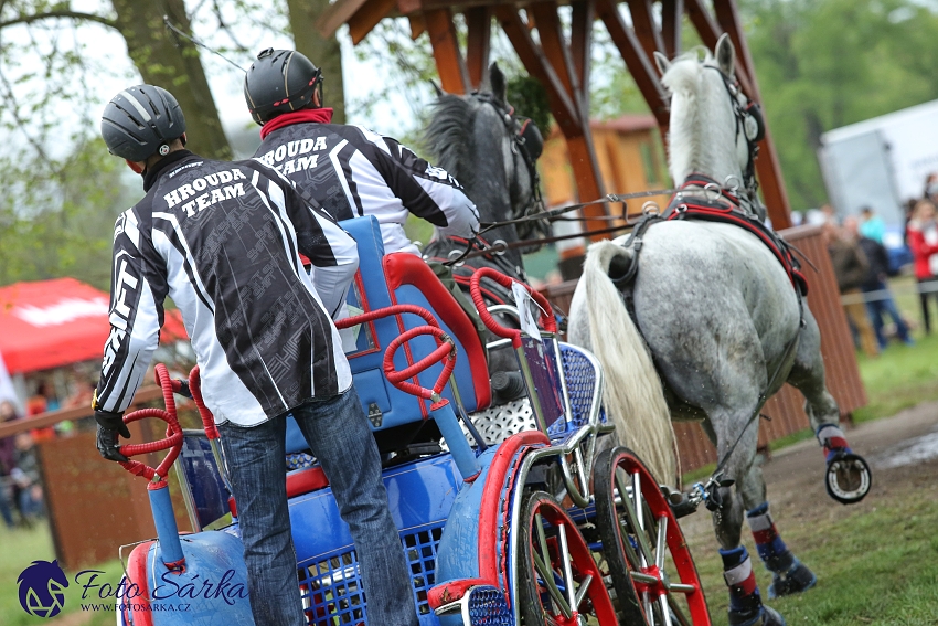 Kladruby 2019 - sobota - maraton