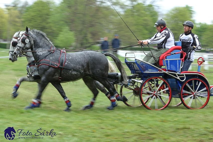 Kladruby 2019 - sobota - maraton