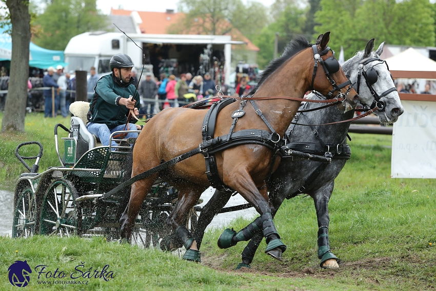 Kladruby 2019 - sobota - maraton