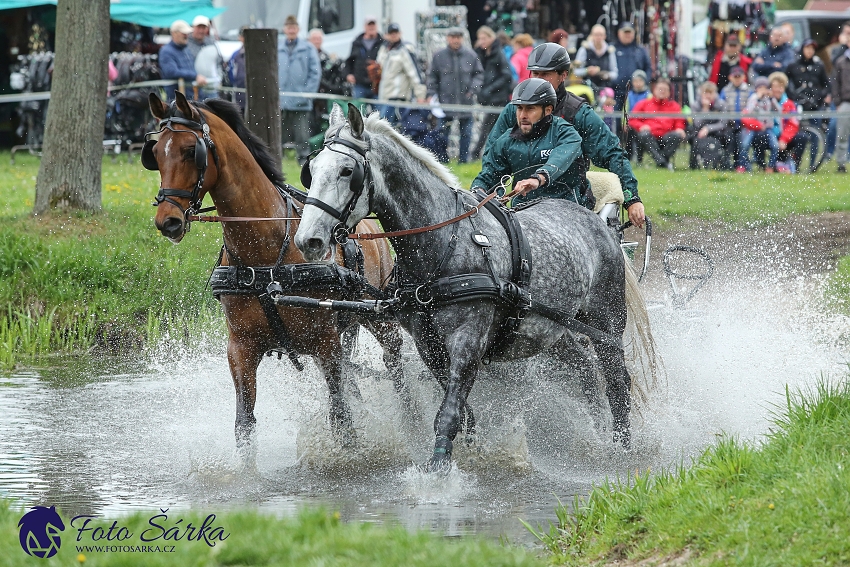 Kladruby 2019 - sobota - maraton