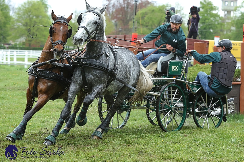 Kladruby 2019 - sobota - maraton