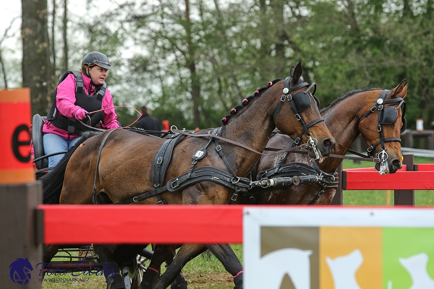Kladruby 2019 - sobota - maraton