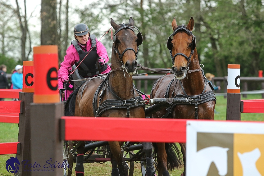 Kladruby 2019 - sobota - maraton