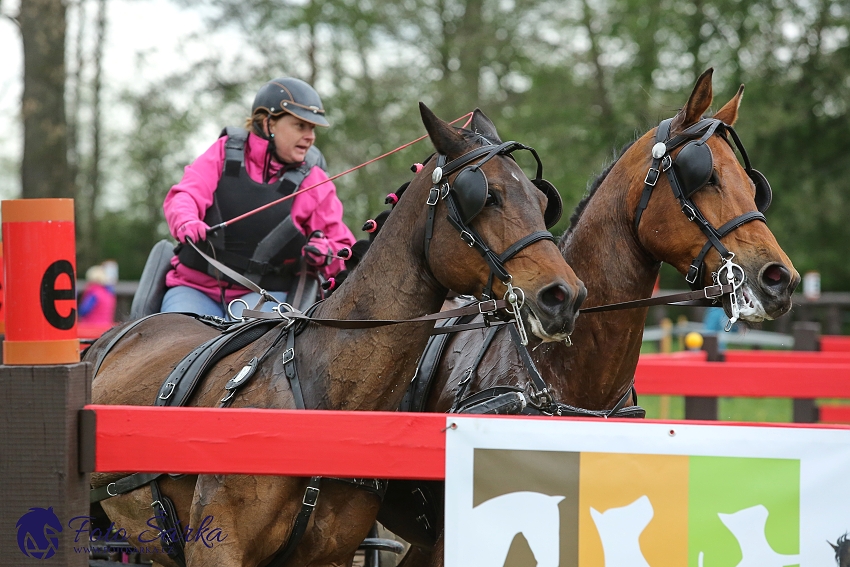 Kladruby 2019 - sobota - maraton