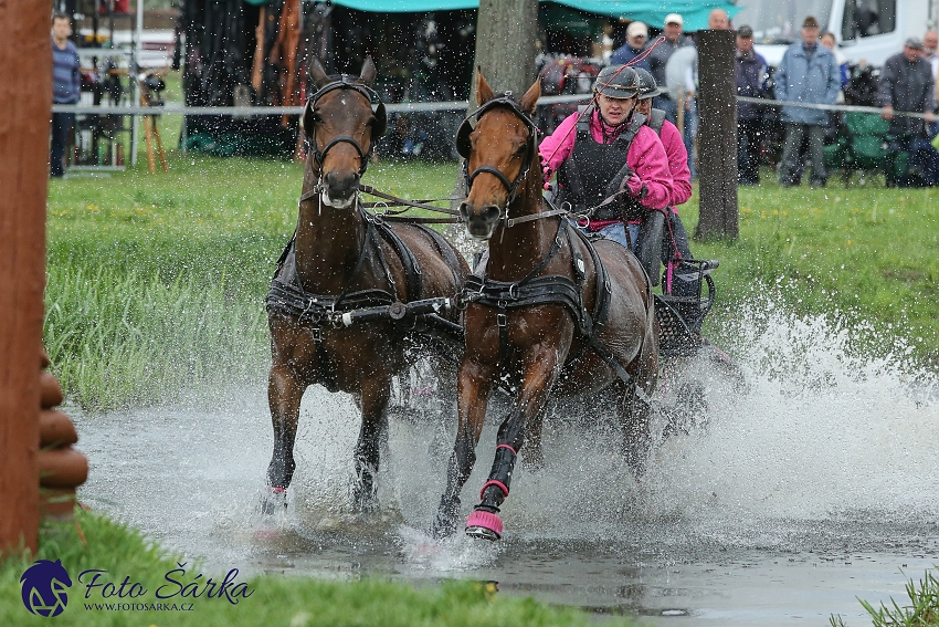 Kladruby 2019 - sobota - maraton