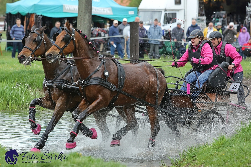 Kladruby 2019 - sobota - maraton