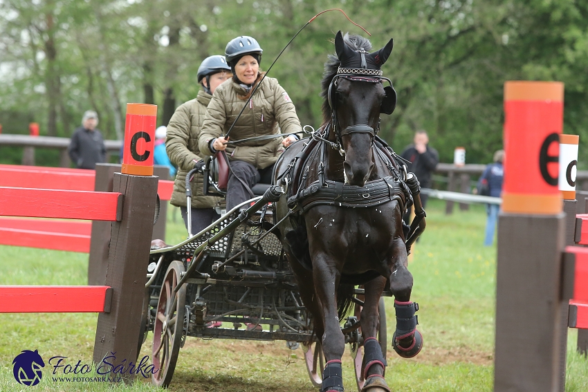 Kladruby 2019 - sobota - maraton