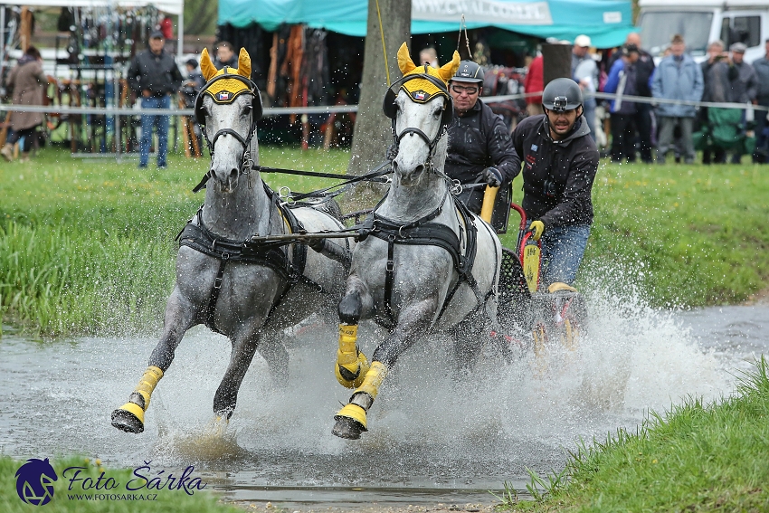 Kladruby 2019 - sobota - maraton