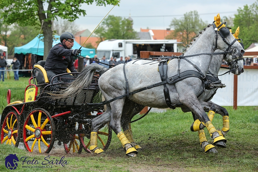 Kladruby 2019 - sobota - maraton