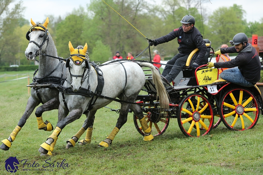 Kladruby 2019 - sobota - maraton