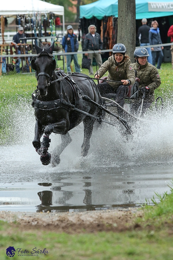 Kladruby 2019 - sobota - maraton
