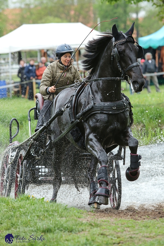 Kladruby 2019 - sobota - maraton