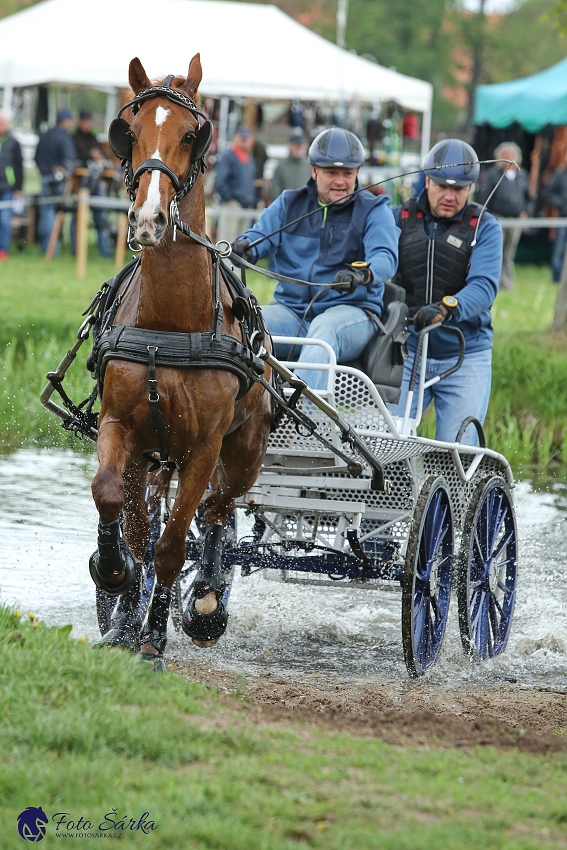 Kladruby 2019 - sobota - maraton