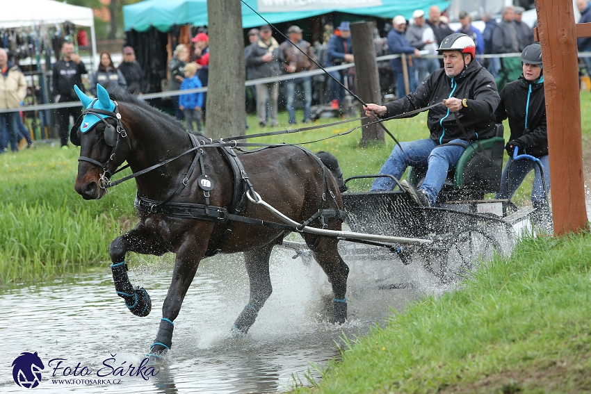Kladruby 2019 - sobota - maraton