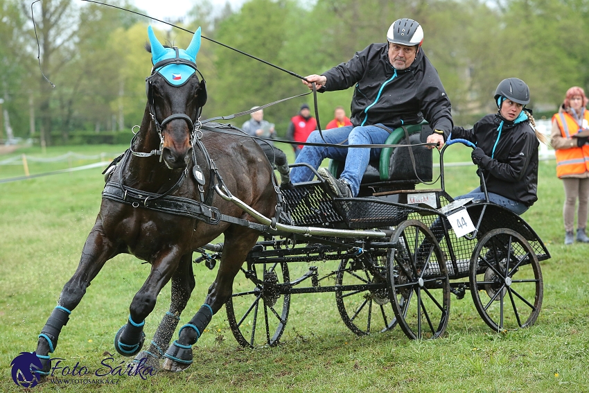 Kladruby 2019 - sobota - maraton