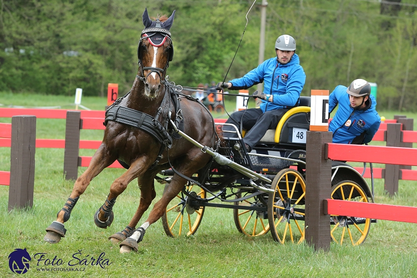 Kladruby 2019 - sobota - maraton