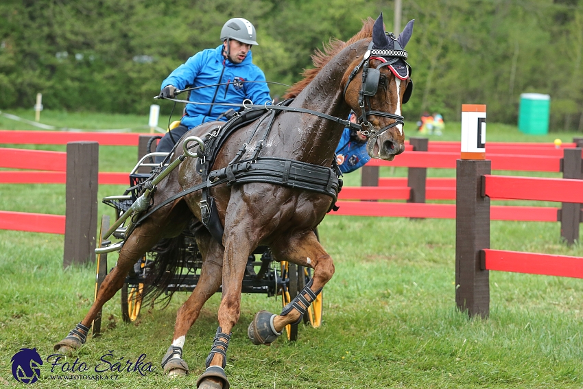 Kladruby 2019 - sobota - maraton