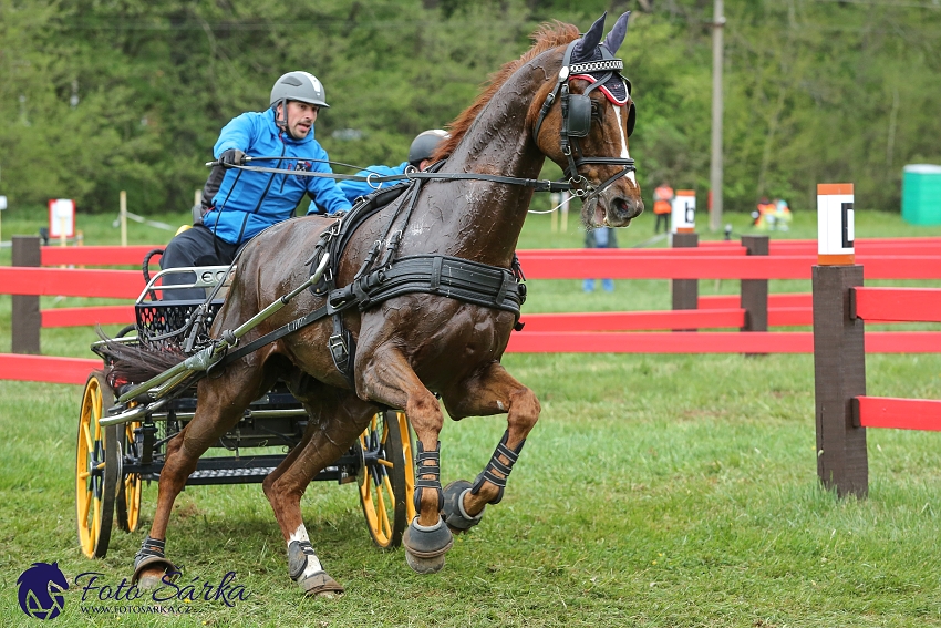 Kladruby 2019 - sobota - maraton