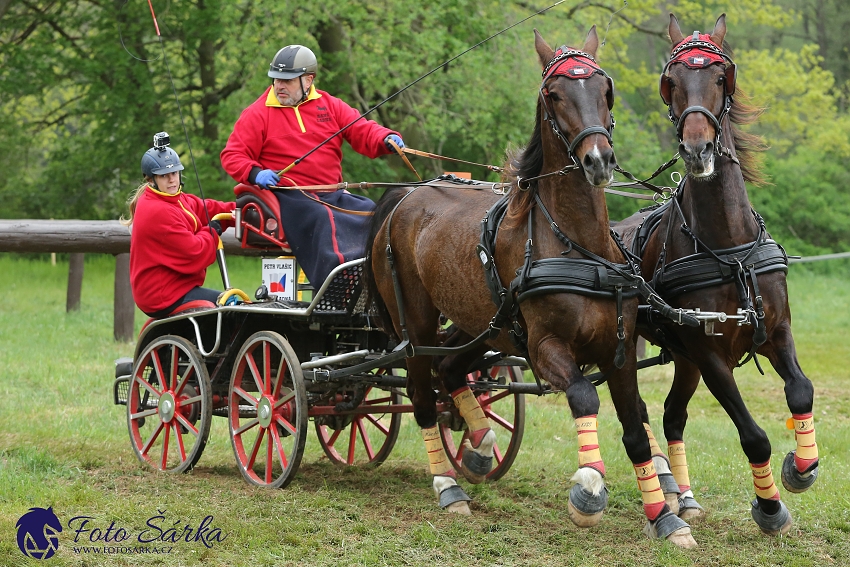 Kladruby 2019 - sobota - maraton