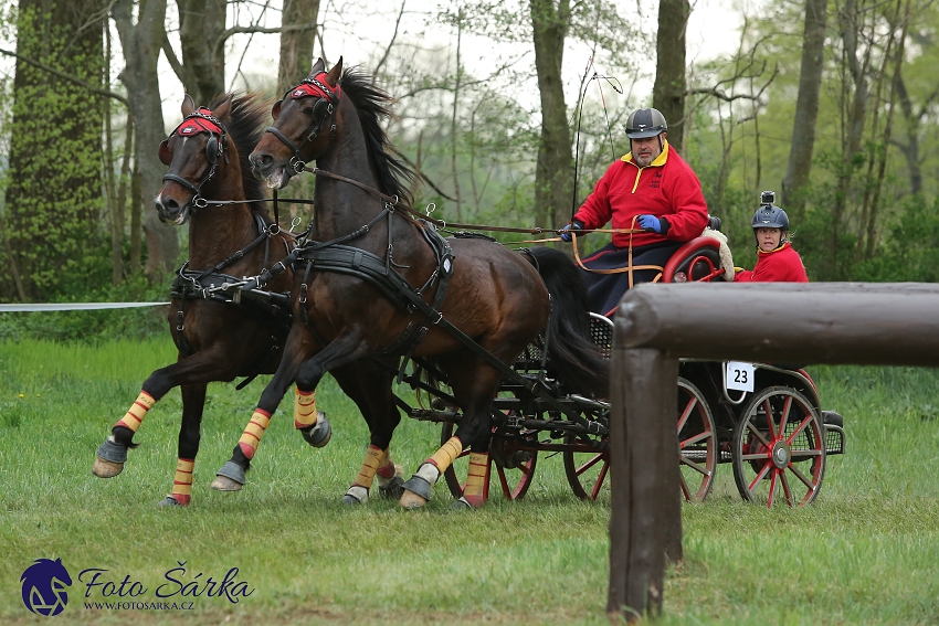 Kladruby 2019 - sobota - maraton