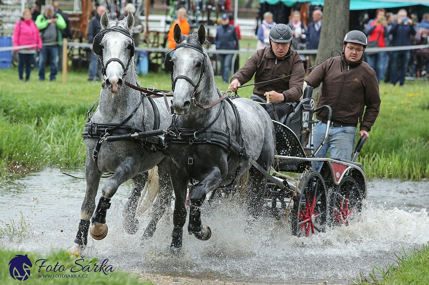 Kladruby 2019 - sobota - maraton