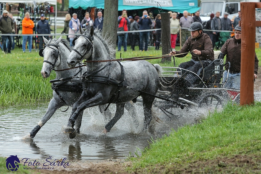 Kladruby 2019 - sobota - maraton