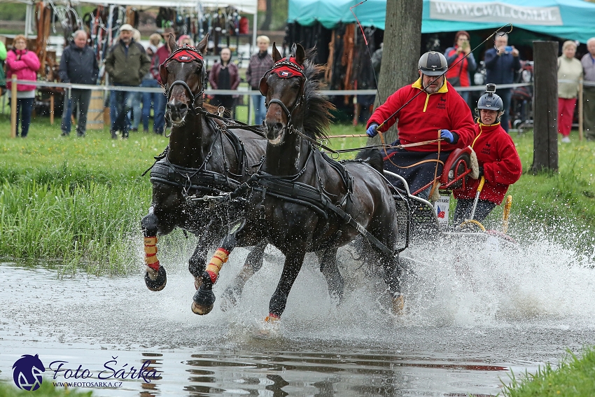 Kladruby 2019 - sobota - maraton