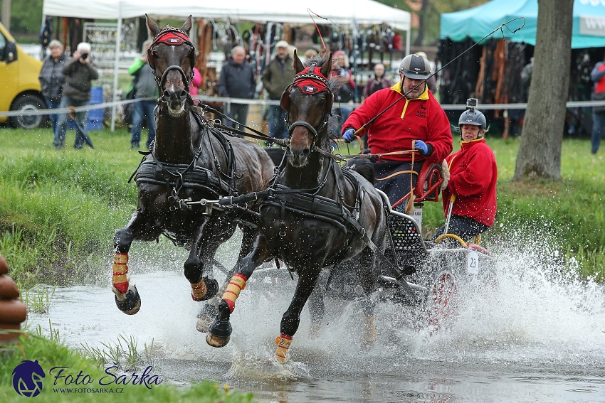 Kladruby 2019 - sobota - maraton