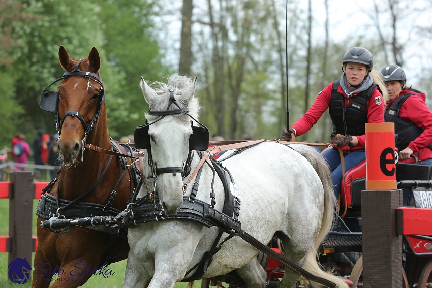 Kladruby 2019 - sobota - maraton