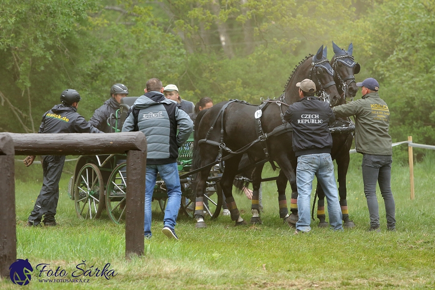 Kladruby 2019 - sobota - maraton