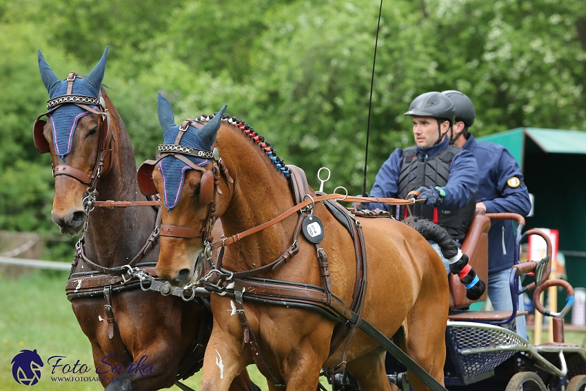 Kladruby 2019 - sobota - maraton